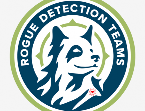 Rogue Detection Teams