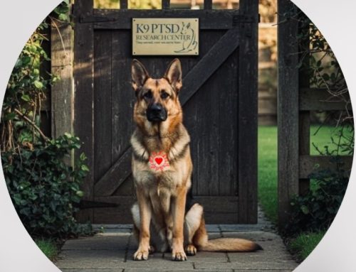 K9 PTSD Research Center